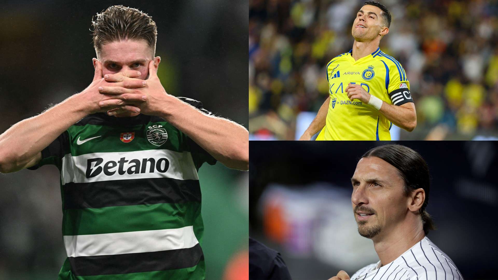 给观众带来 给观众带来