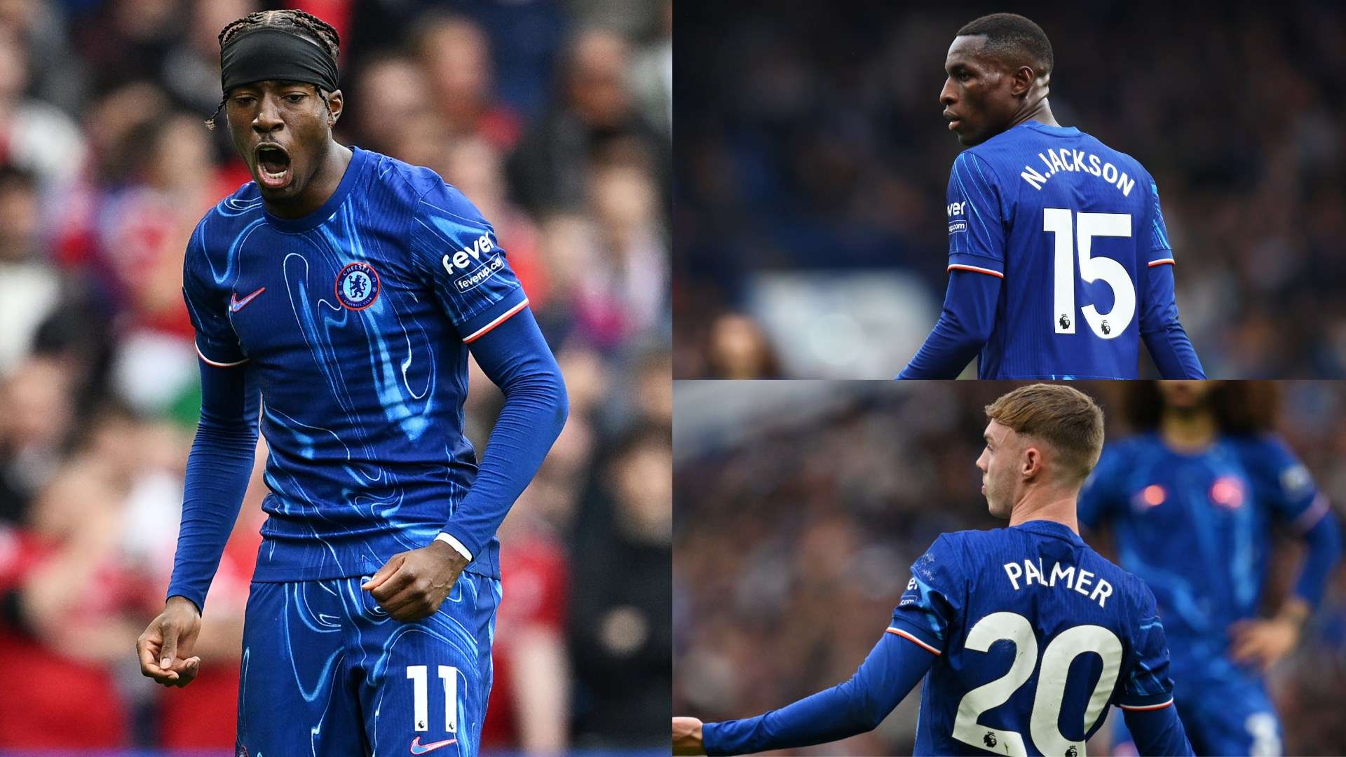 道发布透明 道发布透明